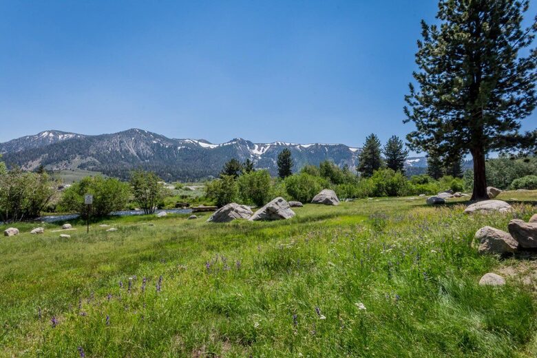 Mammoth Creek Two Bedroom | Walk To The Creek - Mammoth Lakes, California