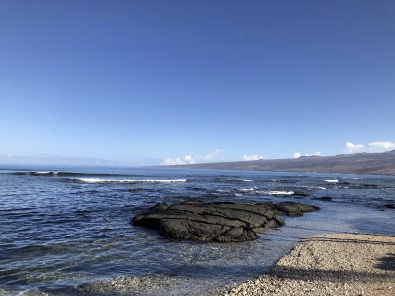 Ke Ola Kai | "Sea Life" - Kamuela, Hawaii