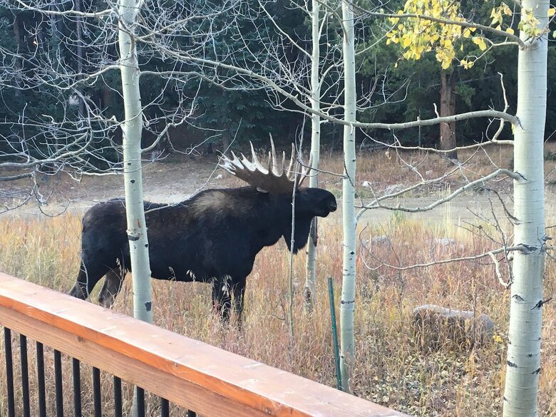 Boulder Bend: Blue River’s Premier Retreat - Breckenridge, Colorado