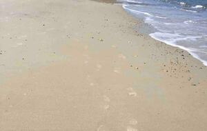 Ocean Views in Historic Plymouth - Plymouth, Massachusetts