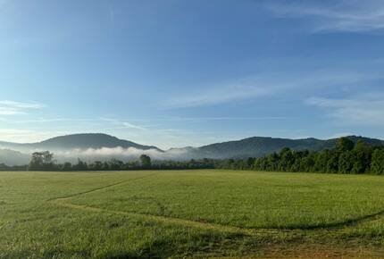 Hayfields - Brevard, North Carolina