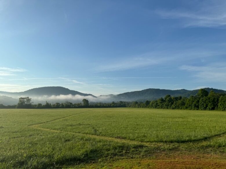Hayfields - Brevard, North Carolina