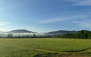 Hayfields - Brevard, North Carolina