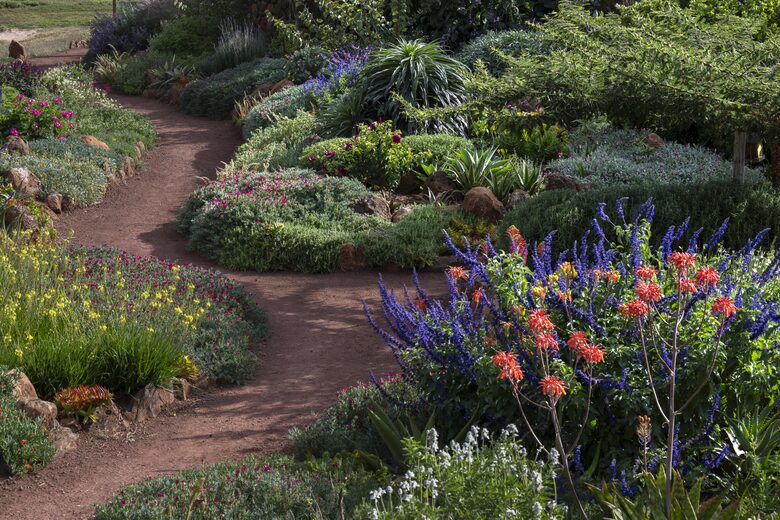Matembezi House at Olepangi Farm - Timau, Kenya