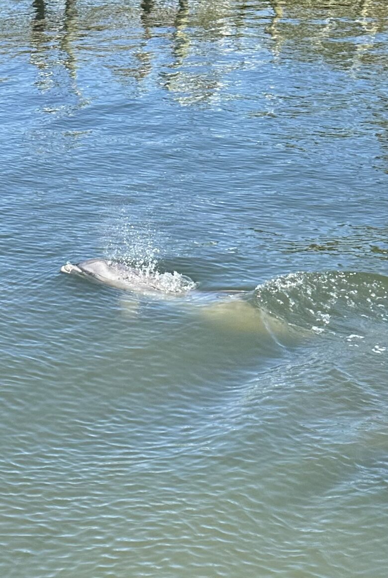 Riverside Bliss with Beach Access in Melbourne Beach - Melbourne Beach, Florida