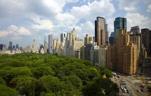 Trump International Hotel and Tower - 1 Bedroom Residence - New York City, New York