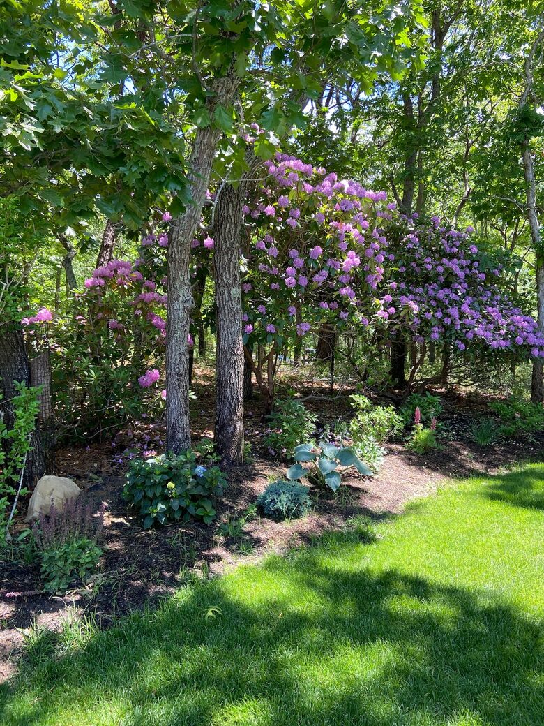 Sunny and Secluded Modernist Gem with Heated Pool - East Hampton, New York