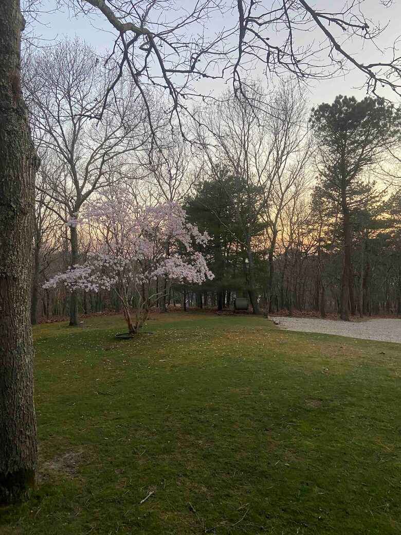 Sunny and Secluded Modernist Gem with Heated Pool - East Hampton, New York