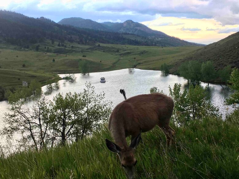 Peaceful Horsetooth Retreat with a View - Fort Collins, Colorado