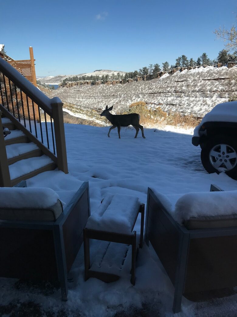 Peaceful Horsetooth Retreat with a View - Fort Collins, Colorado