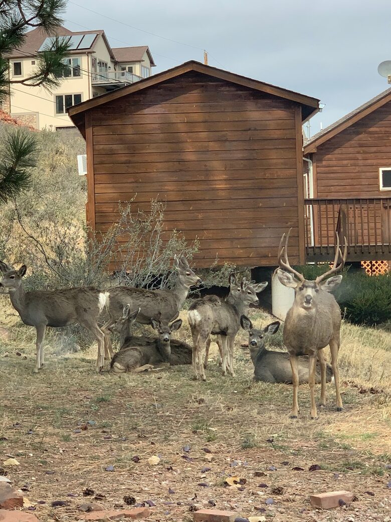 Peaceful Horsetooth Retreat with a View - Fort Collins, Colorado