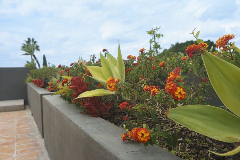 Casa Arcadia | Luxury home with stunning views of historic Parroquia - San Miguel de Allende, Mexico