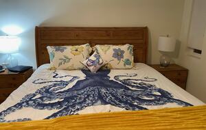 King Sleigh bed in the master BR
