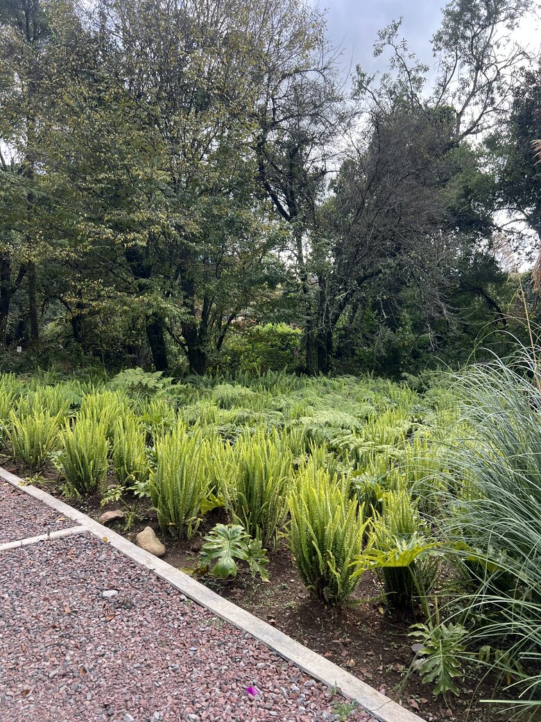 Rancho Las Joyas - Valle de Bravo, Mexico