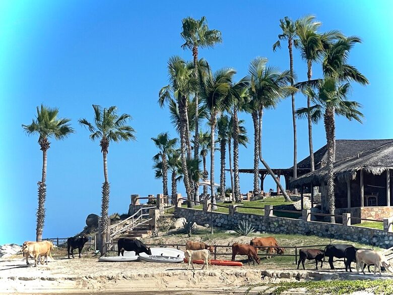 Beautiful Beachfront Hacienda - Baja California Sur, Mexico