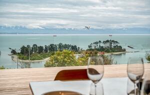 Nelson Porto Sanctuary - Britannia Heights, New Zealand