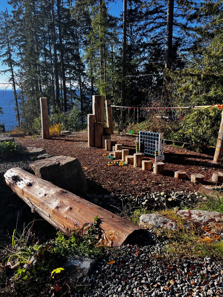 Private natural playground with ninja line on property
