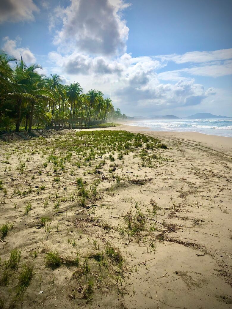 Luxury Beach Sanctuary | Peace Comes in Waves - Zihuatanejo/Ixtapa, Mexico