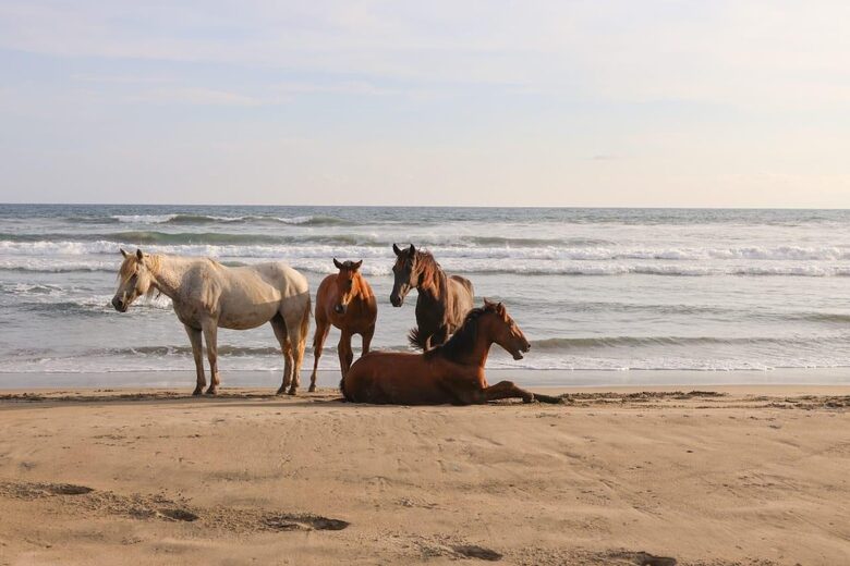 Luxury Beach Sanctuary | Peace Comes in Waves - Zihuatanejo/Ixtapa, Mexico