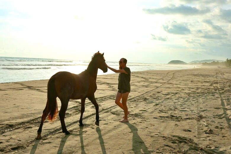 Luxury Beach Sanctuary | Peace Comes in Waves - Zihuatanejo/Ixtapa, Mexico