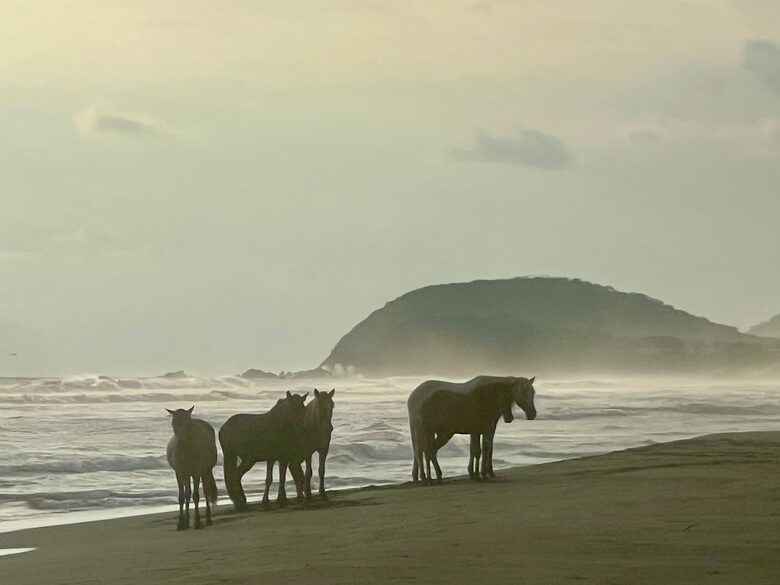 Luxury Beach Sanctuary | Peace Comes in Waves - Zihuatanejo/Ixtapa, Mexico