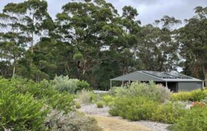 Coralwood Cottage inmitten einer Landschaft mit einheimischen Pflanzen – Nord-Bornholm, Australien