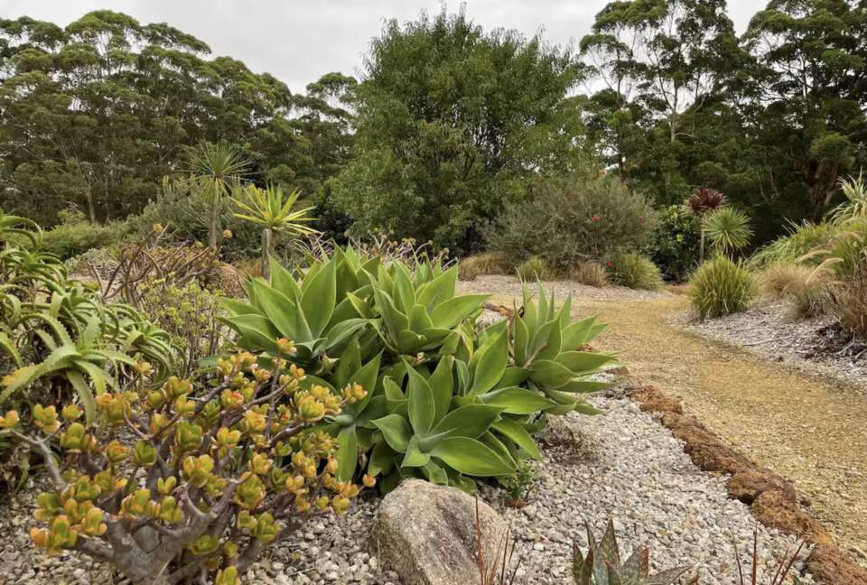 Coralwood Cottage in Native Garden Landscape - North Bornholm, Australia