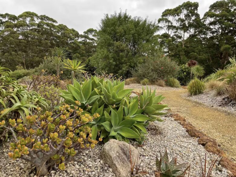 Coralwood Cottage in Native Garden Landscape - North Bornholm, Australia