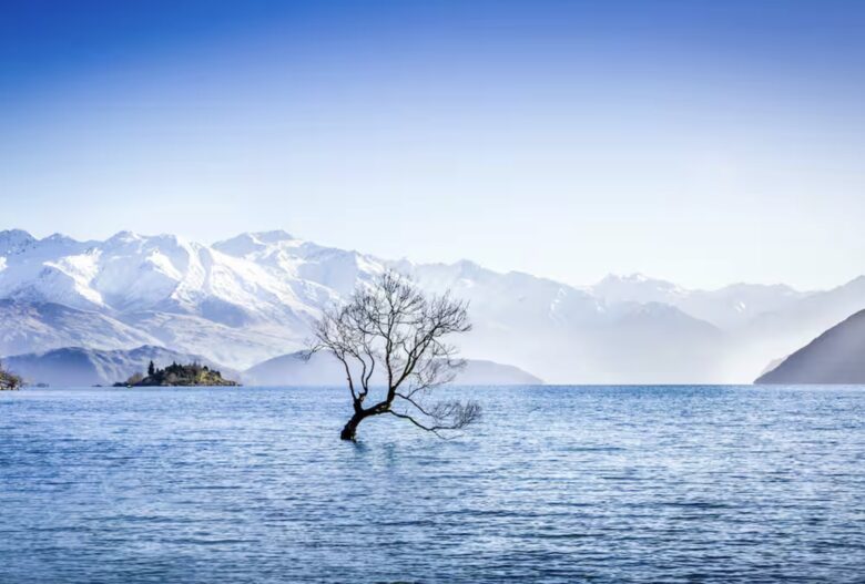 That Wanaka Tree House | BEST Lake Front Location - Wānaka, New Zealand