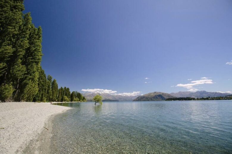 That Wanaka Tree House | BEST Lake Front Location - Wānaka, New Zealand