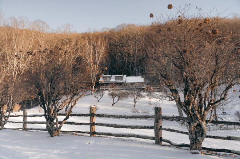 The Lodge at Fiddlehead Banner Elk - Banner Elk, North Carolina