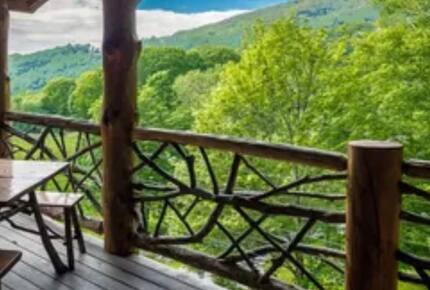 Treehouse at Fiddlehead Banner Elk - Banner Elk, North Carolina