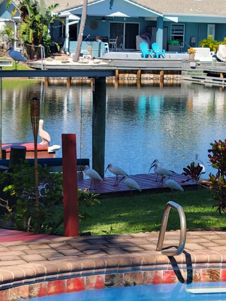 Canalfront Escape with Pool, Kayaks, & Game Room - Cocoa Beach, Florida