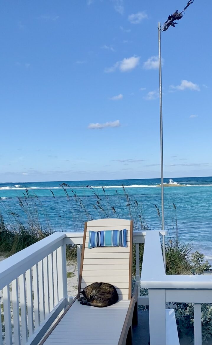 Plywood chairs on the front deck