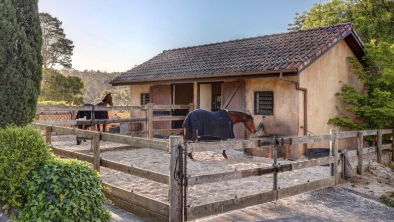 Horse Stables