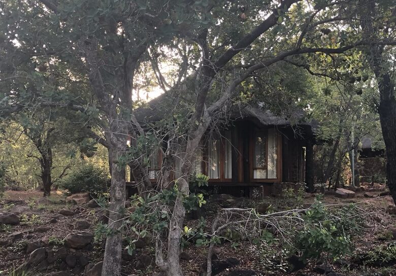 Big Five Game Lodge Tsheshepe - Vaalwater, South Africa