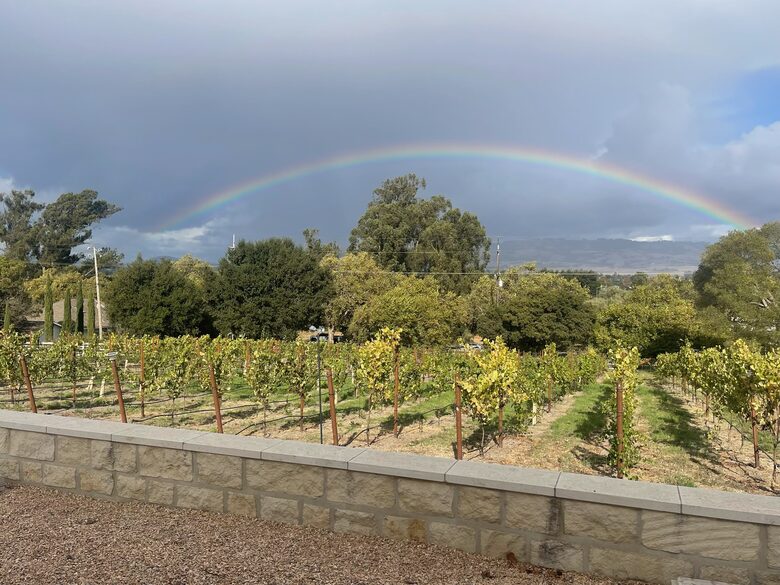 Petaluma One of a Kind Vineyard Residence - Petaluma, California
