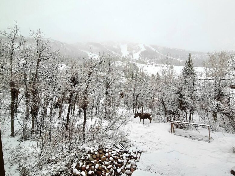 Edelweiss Chalet | Ski to Lift - Steamboat Springs, Colorado