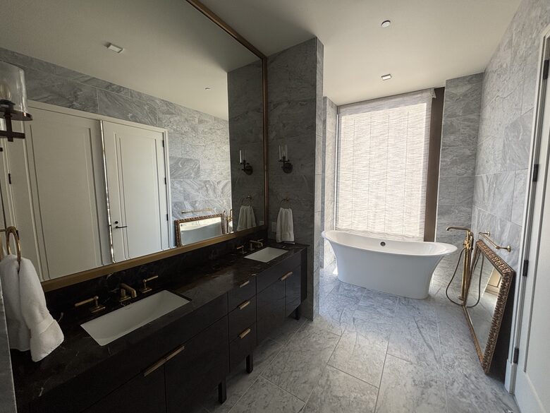 Master bathroom tub
