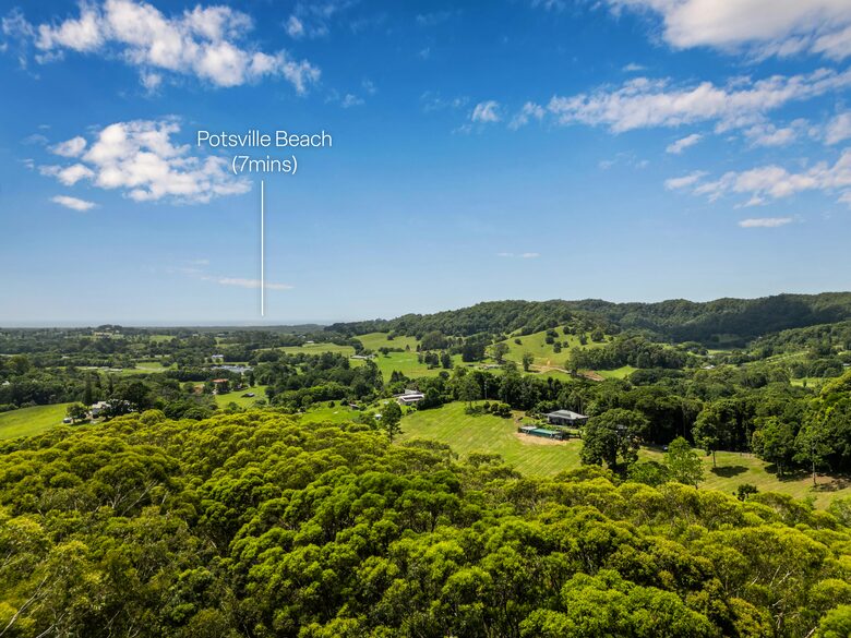The Daintree near Byron Bay - Cudgera Creek, Australia