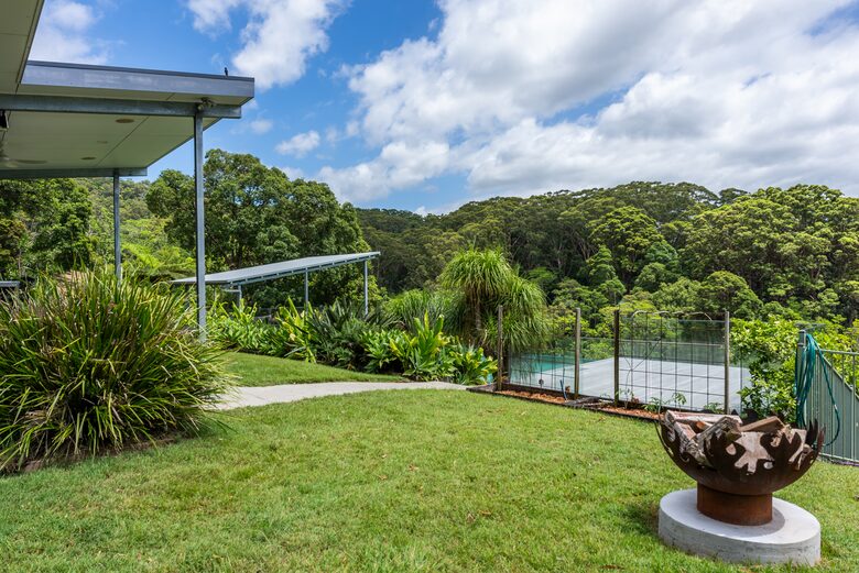 The Daintree near Byron Bay - Cudgera Creek, Australia