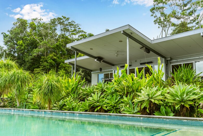 The Daintree near Byron Bay - Cudgera Creek, Australia