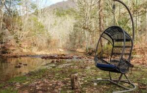 A Secluded Cabin Retreat in the Shenandoah - Elkton, Virginia