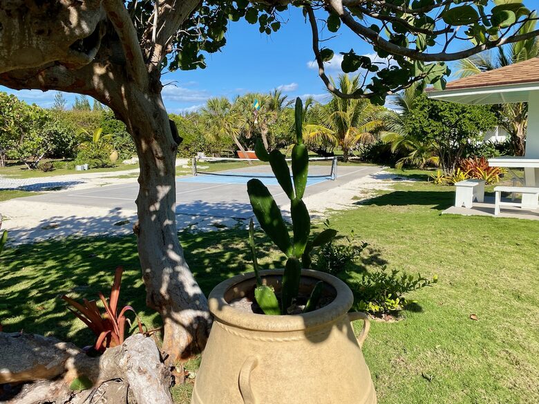 Your own pickle ball court hidden among 4 landscaped acres