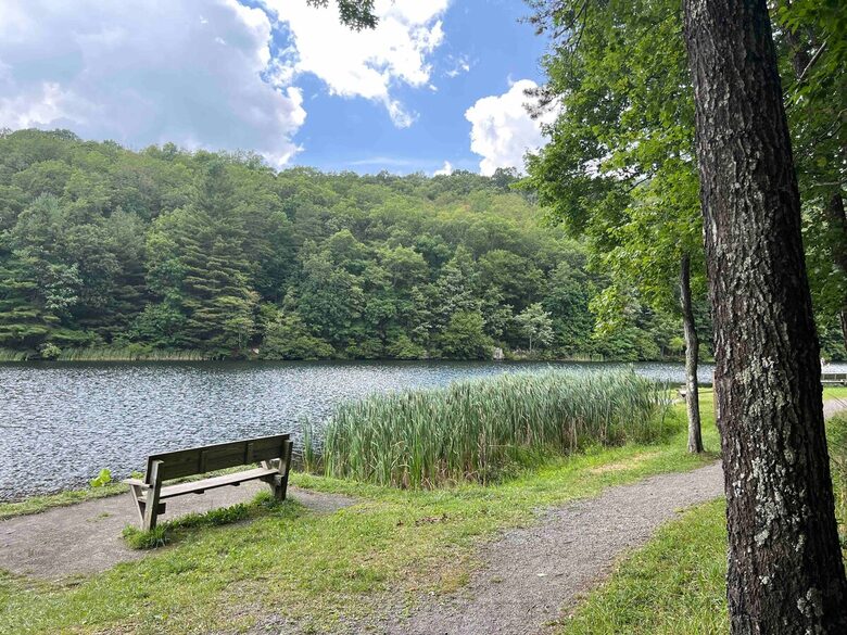 Tranquil Cabin Hideaway Near Wardensville’s Charm - Wardensville, West Virginia