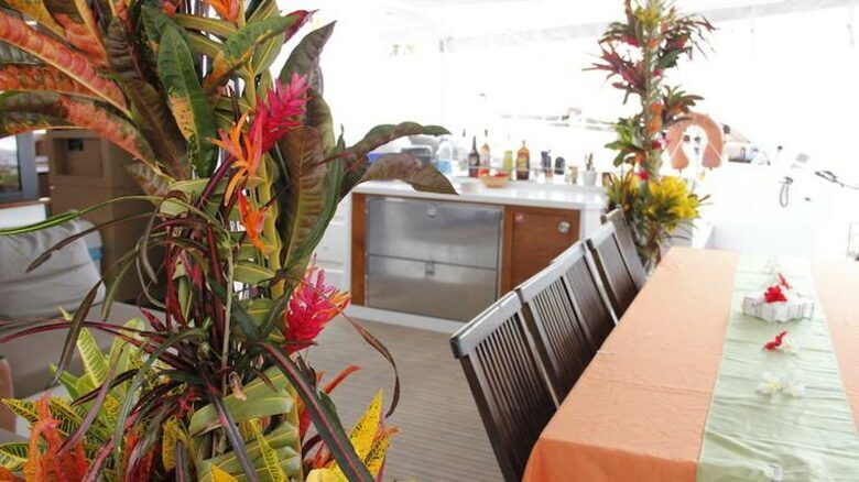All-Inclusive 7-night TradeWinds AQUA Experience in St. Vincent and The Grenadines on TW60 Catamaran with Crew - Ratho Mill, Saint Vincent and the Grenadines
