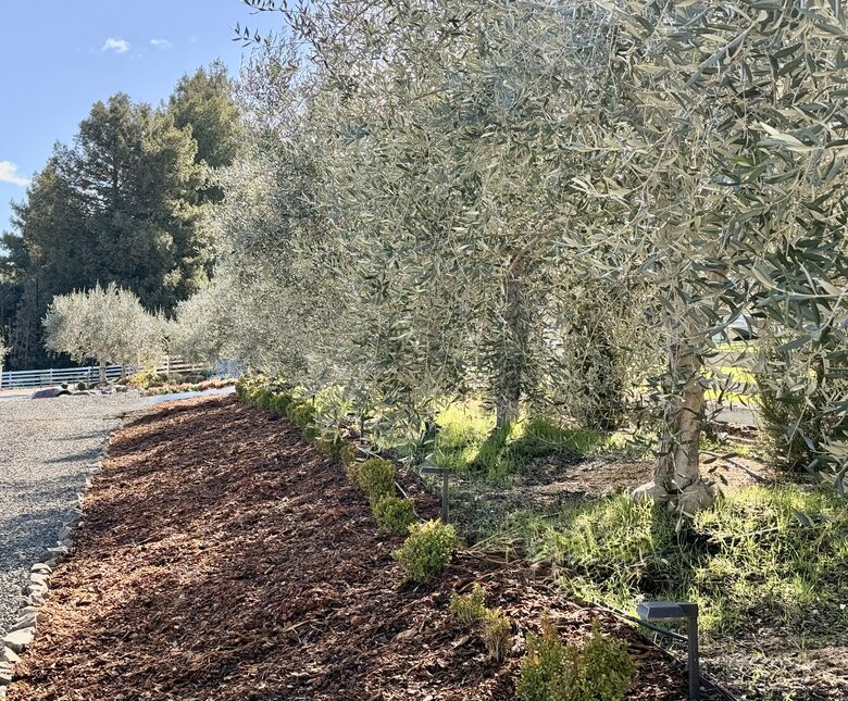 Petaluma One of a Kind Vineyard Residence - Petaluma, California