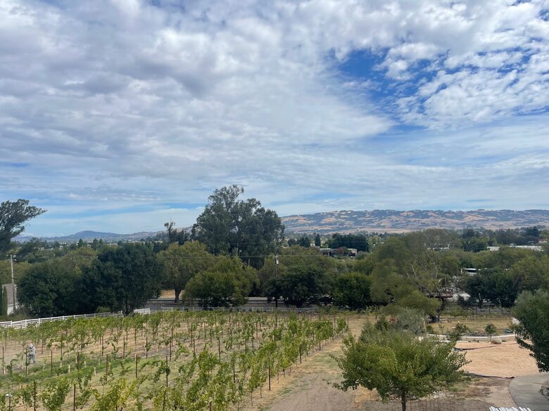 Petaluma One of a Kind Vineyard Residence - Petaluma, California