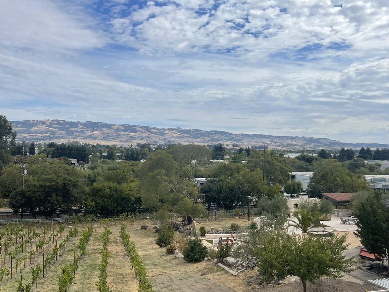 Petaluma One of a Kind Vineyard Residence - Petaluma, California