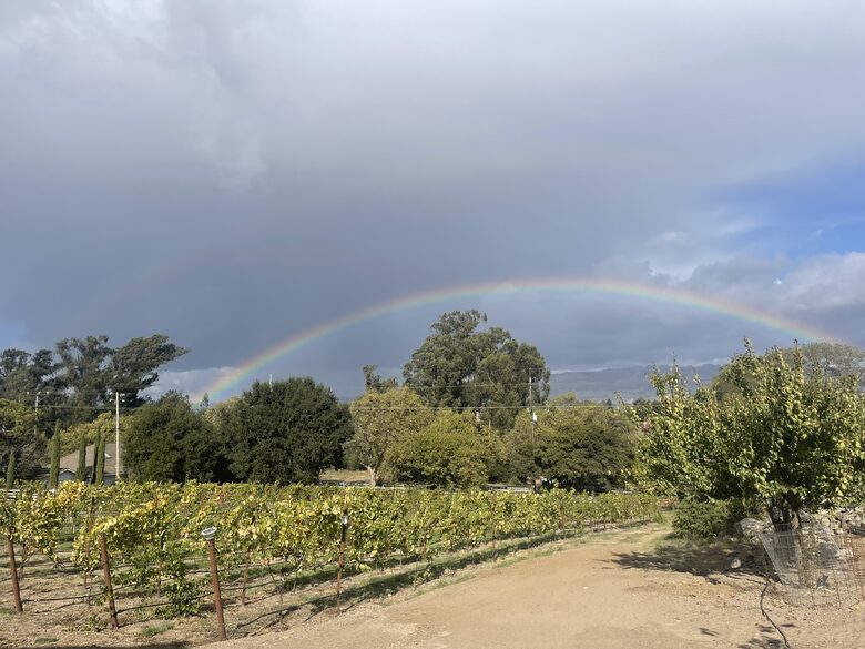 Petaluma One of a Kind Vineyard Residence - Petaluma, California
